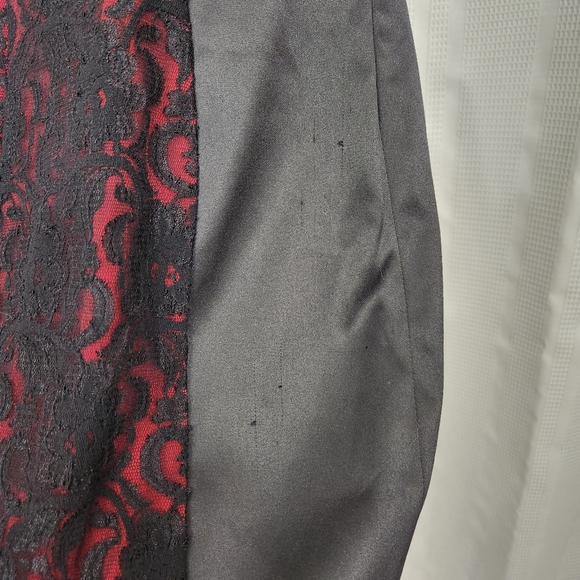 Signature by Sangria Body Hugging Cocktail Dress with Lace Panels, Size: 8 - Picture 7 of 12